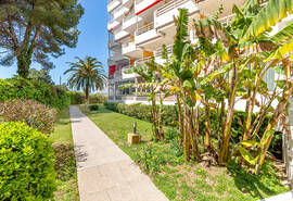 Gemeinschaftsgarten/community garden/jardin comunitario