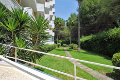 Gemeinschaftsgarten/community garden/jardin comunitario